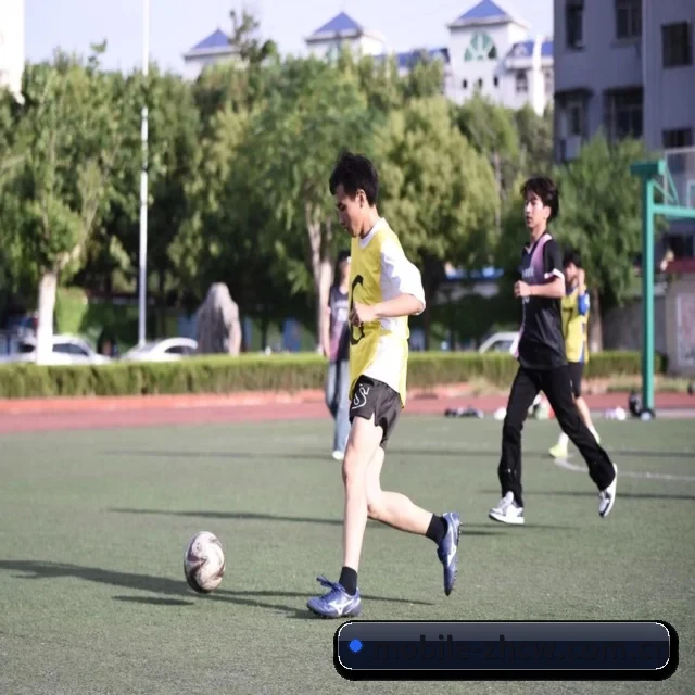中彩网官方五大内容板块,覆盖赛事直播与实时比分