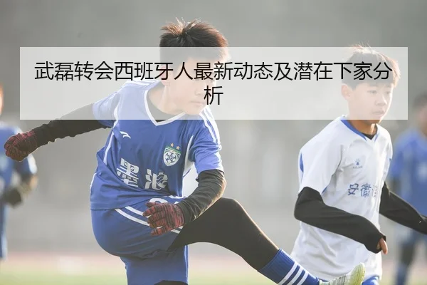 武磊转会西班牙人最新动态及潜在下家分析